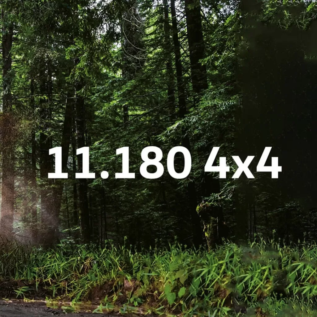 MyS_VW_Camiones-Buses_06