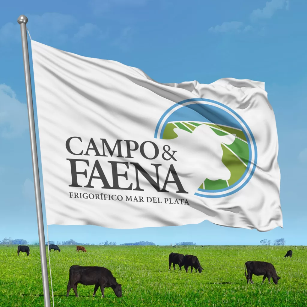 02_MyS_Disenio_Campo_Faena